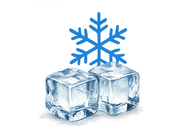 Frozen Shrimp
