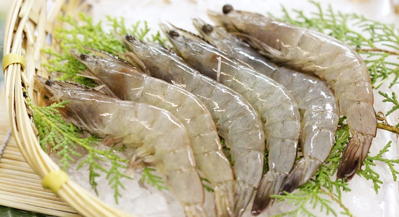 Shrimp